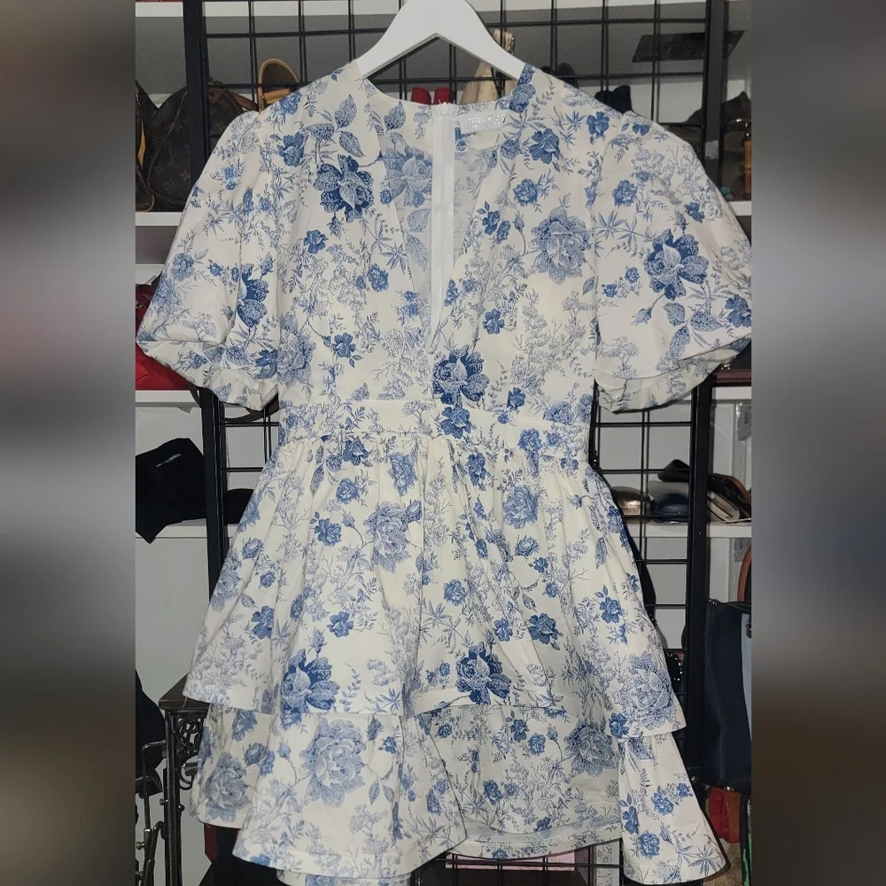 Muy Muy Floral Blue and White Dress Size LARGE - Picture 1 of 5